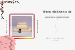 Mollis Sài Gòn – Thương Hiệu Khăn Cao Cấp Từ Cotton Hữu Cơ