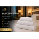 Khăn tắm Mollis Cotton B853 60x120 cm 317g